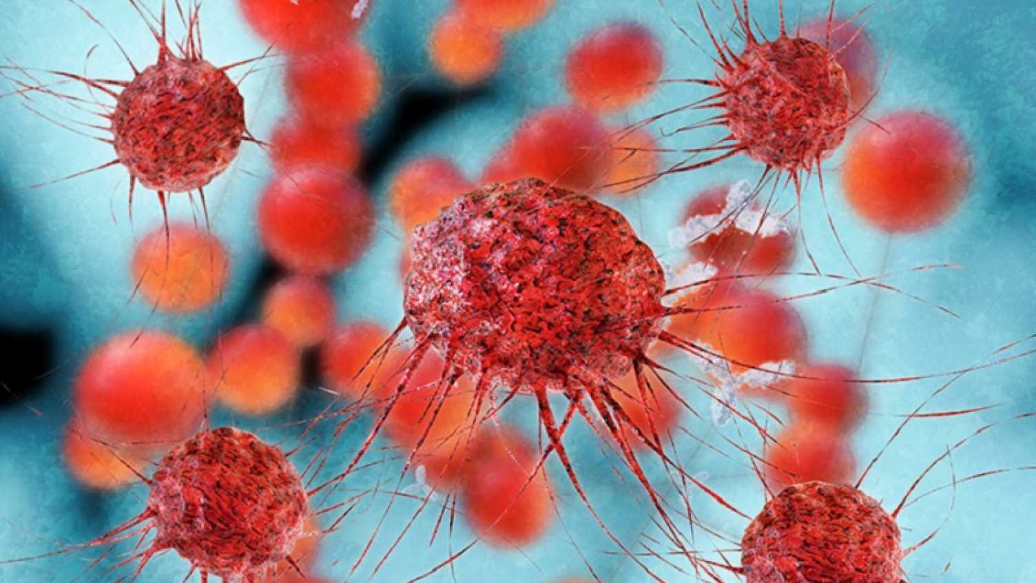 Thumbnail for New compound could help treat ovarian cancer | Biosciences 