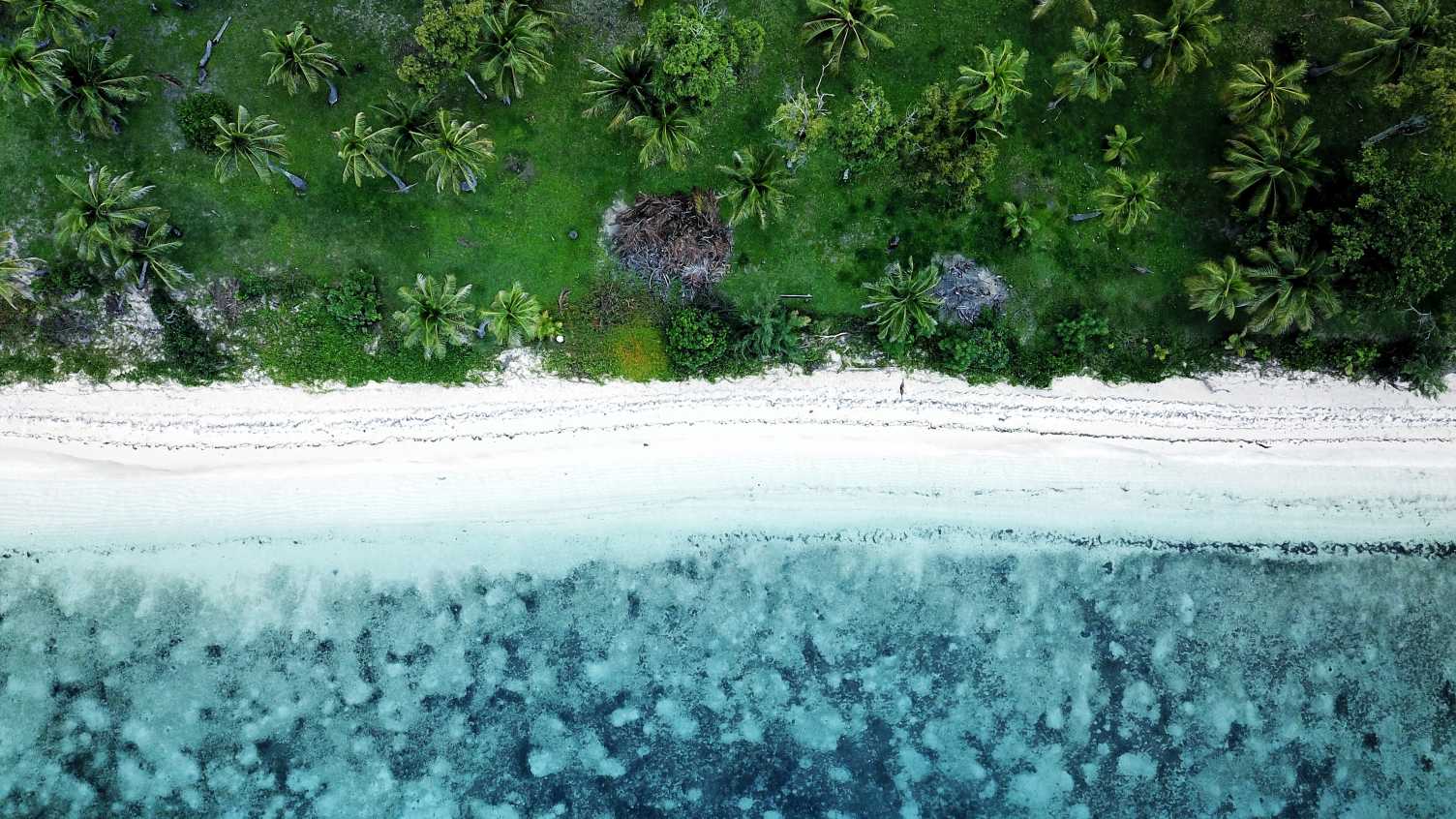 Thumbnail for Making connections from land to sea | Institute for Sustainable Food 