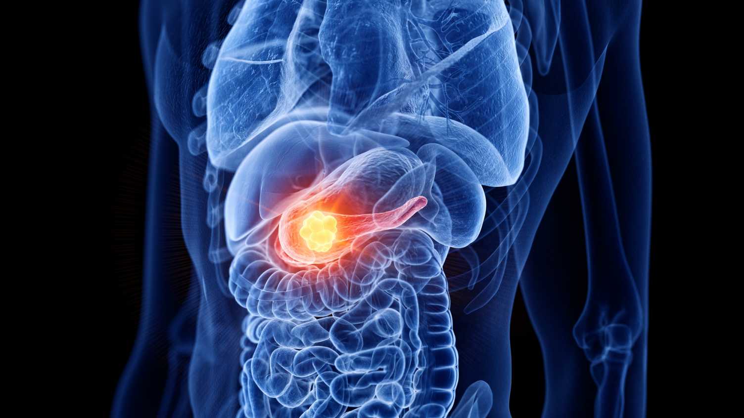 Thumbnail for Scientists discover new drug which could improve life expectancy and quality for…