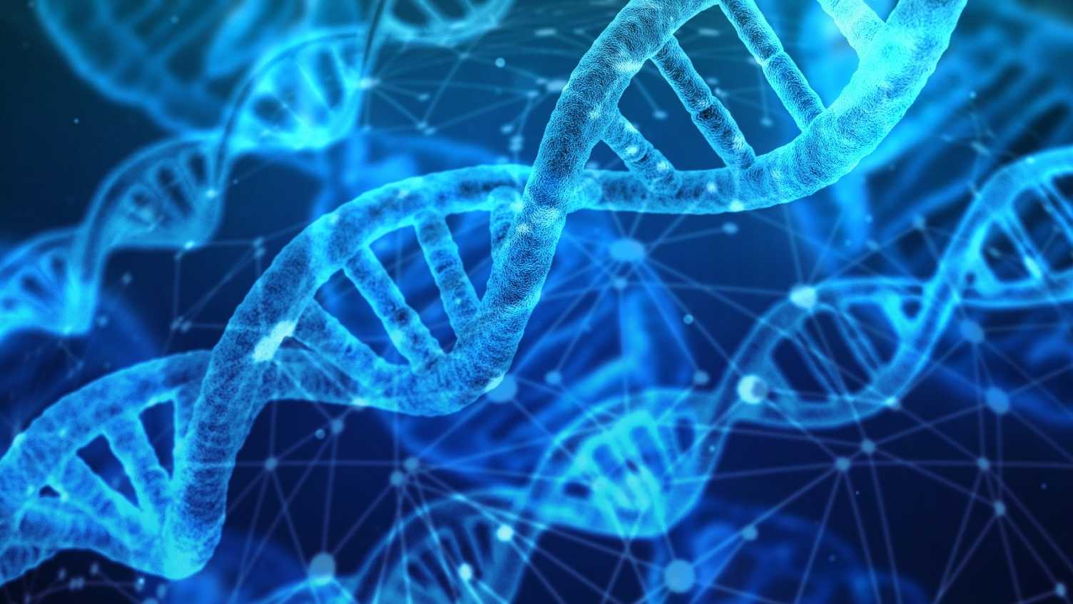 Thumbnail for Recipe for the perfect balance of breaks and repairs in our genome could help fi…