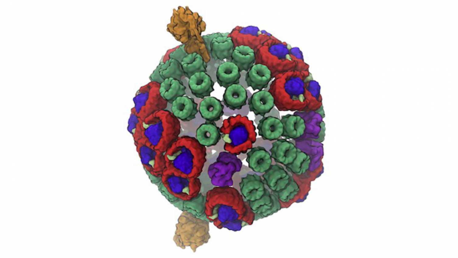 Thumbnail for Evolutionary compromise inherent to photosynthesis discovered | Biosciences 