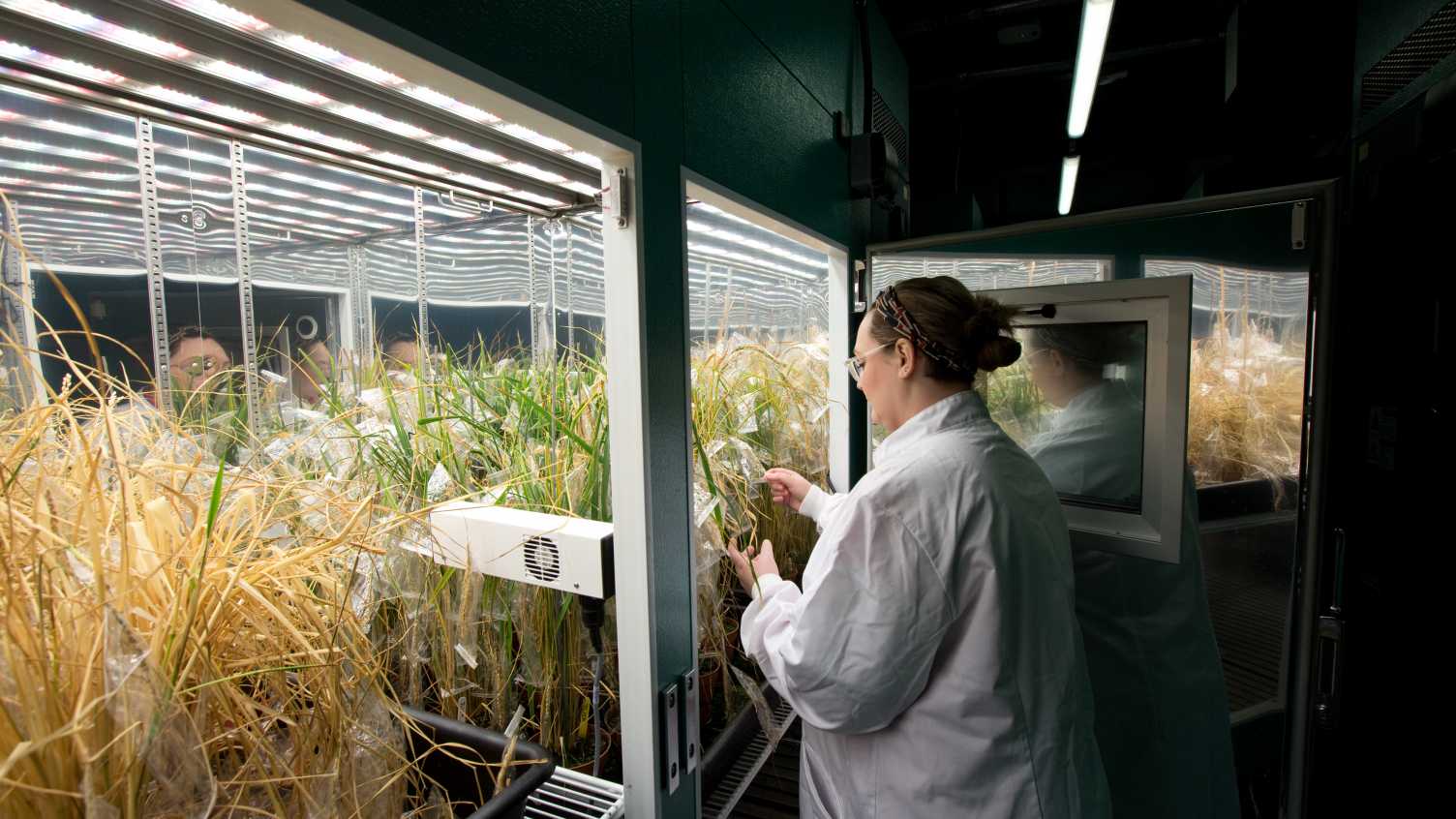 Thumbnail for World class training - International dual award PhDs in Plant & Soil Science now…
