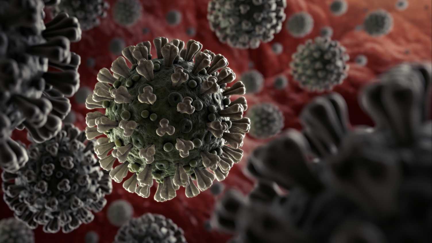 Thumbnail for Sheffield scientists help to identify common vulnerabilities in Covid-19 and oth…