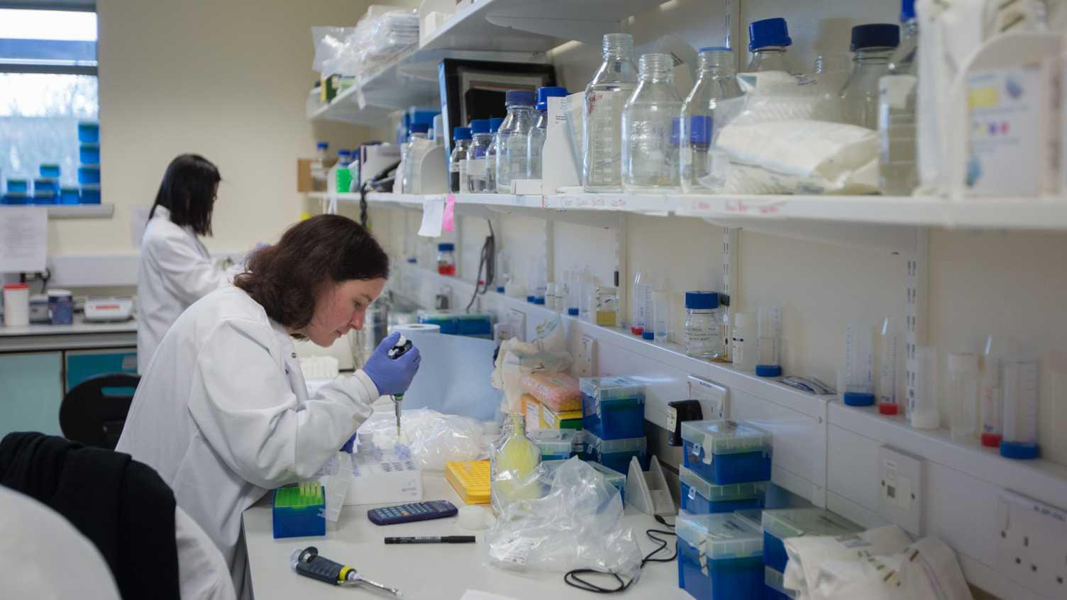 Thumbnail for SABRE: RTDF-UK In situ Source Area BioREmediation | GPRG 