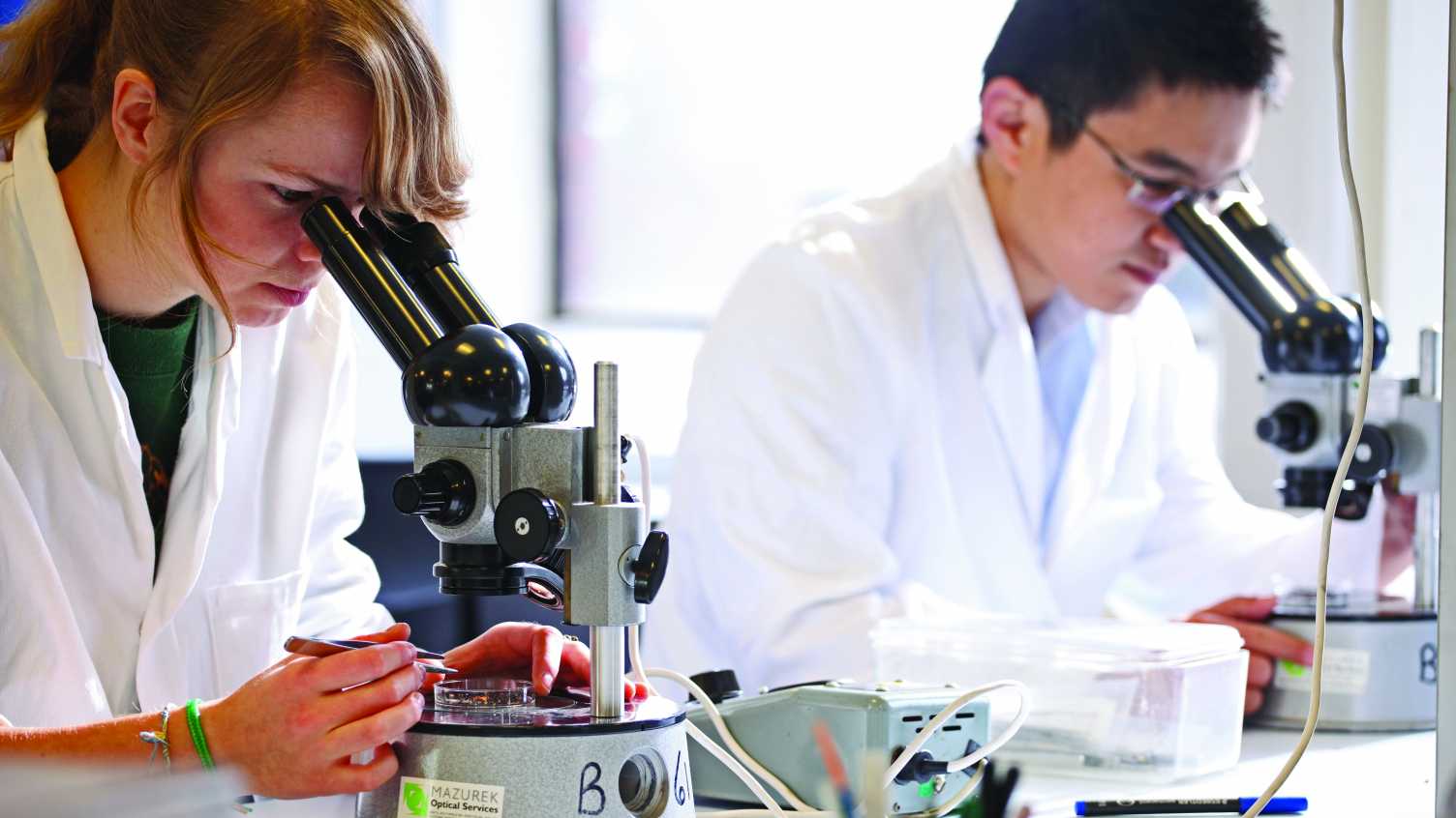 Thumbnail for University of Sheffield to jointly host new £13m NERC facility to empower the n…