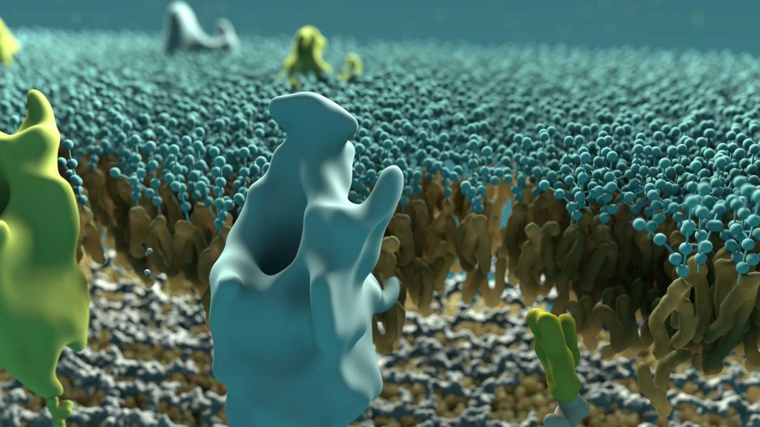 Thumbnail for New research could help tackle conditions including Legionnaires' disease | Bios…