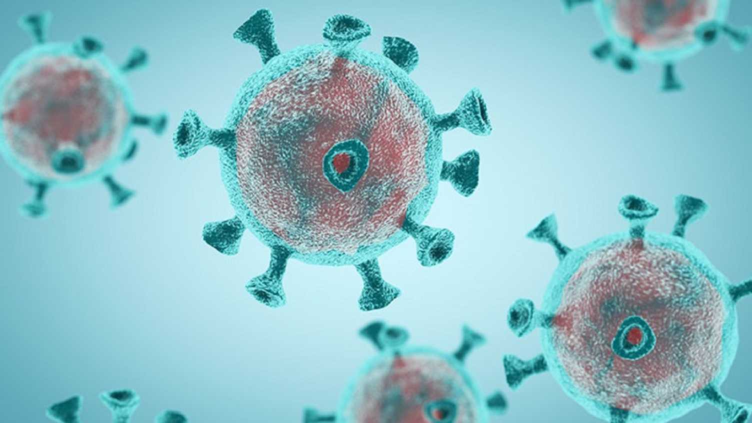 Thumbnail for One year on from sequencing Covid-19 genome, Sheffield shares new research on UK…
