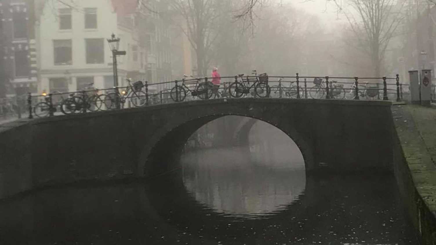 Thumbnail for iHuman in Amsterdam: The Art of Belonging | iHuman 