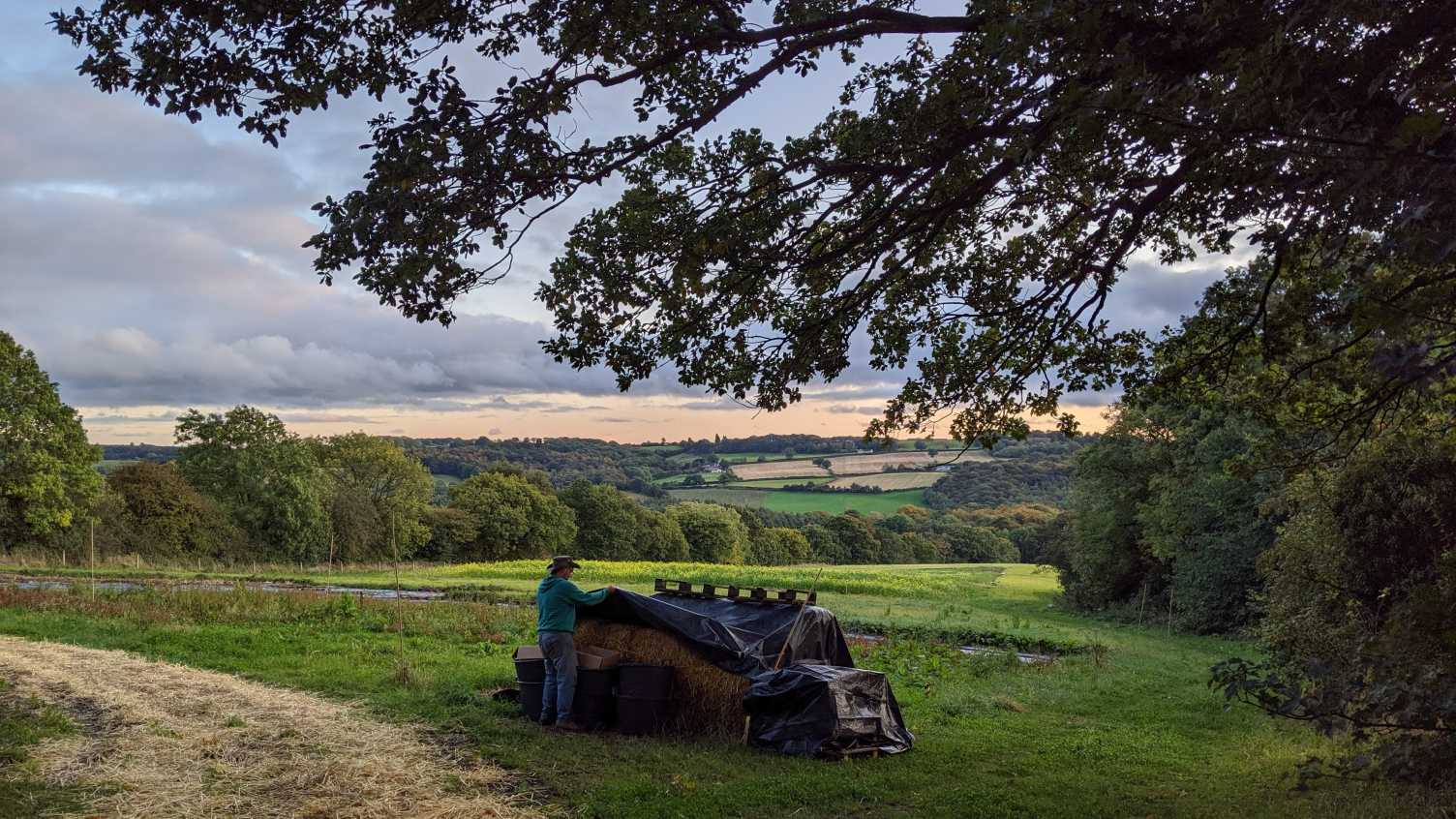 Thumbnail for New research shows how to include more farmers in the design of new environmenta…
