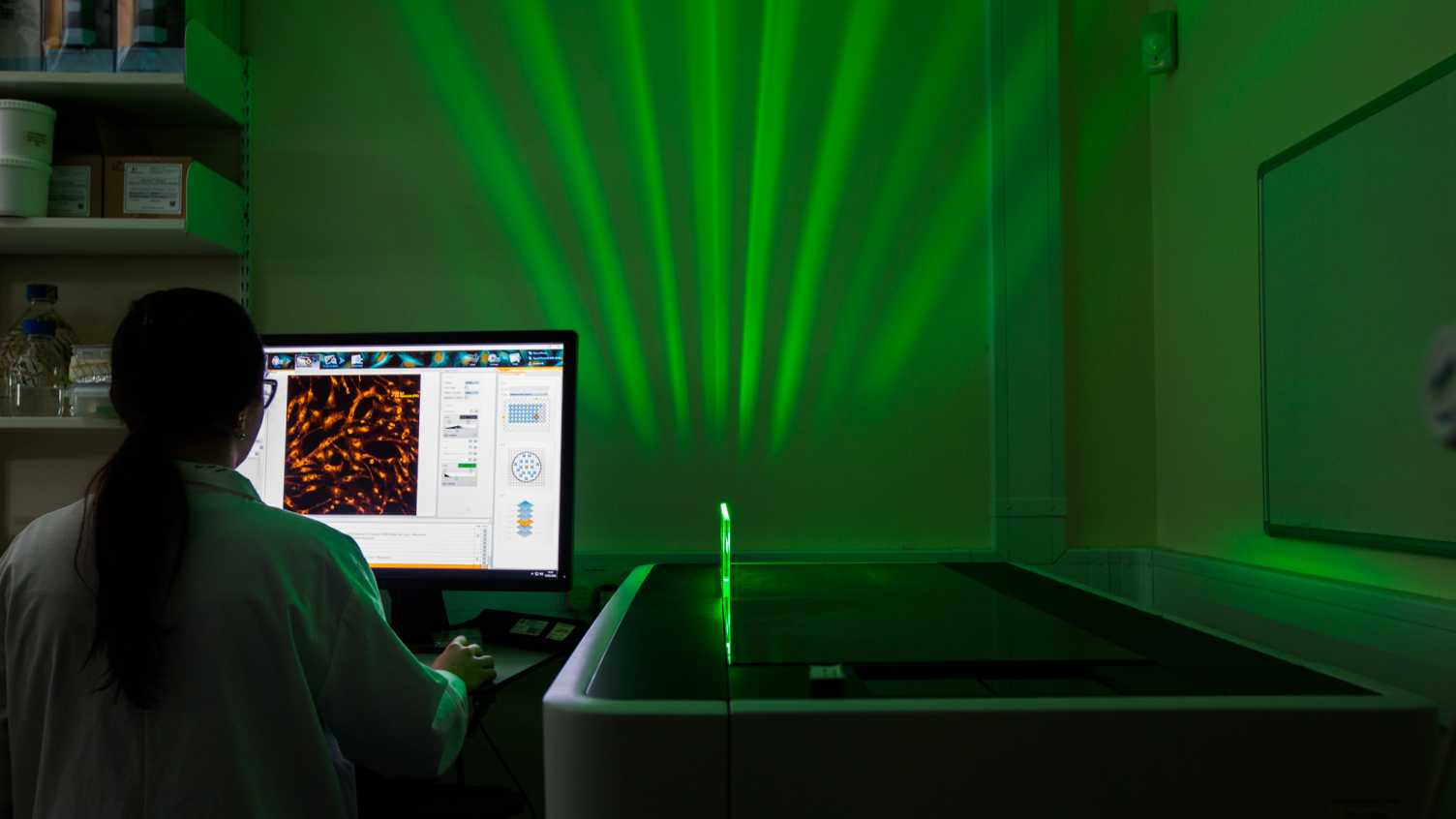 Thumbnail for New partnership to develop drug targets for the treatment of Parkinson’s disea…