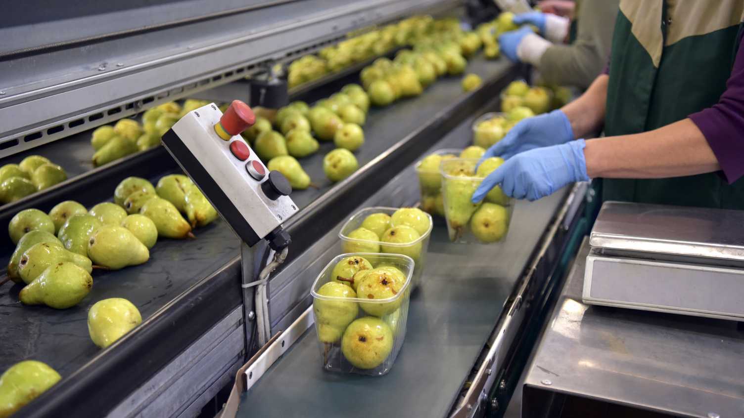 Thumbnail for Simulating and reducing household waste from plastic food packaging | Energy Ins…