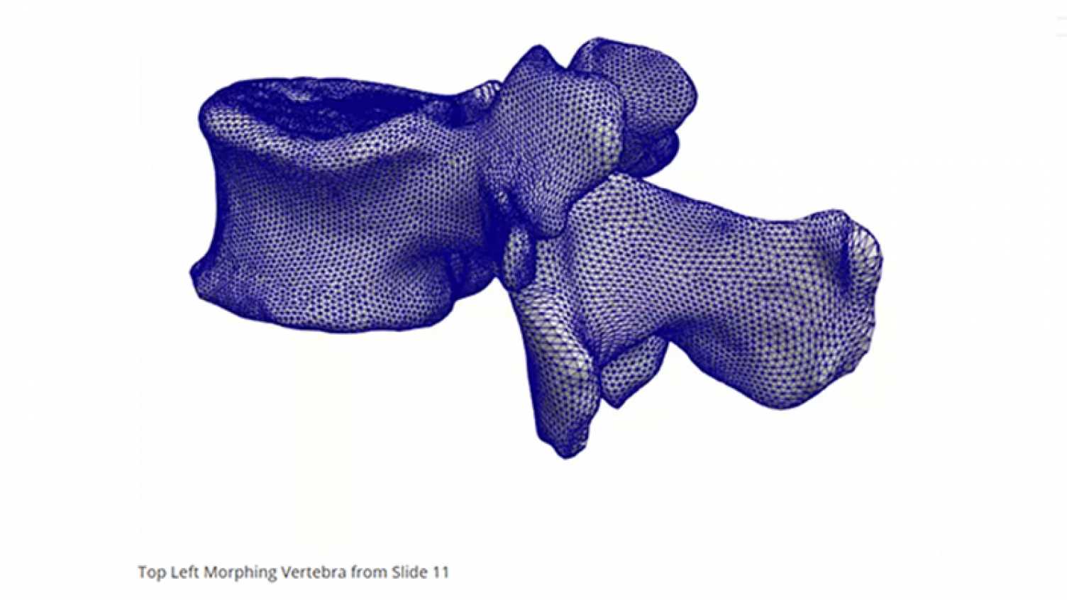 Thumbnail for Spinner fellows’ mid-term presentations | Insigneo Institute 