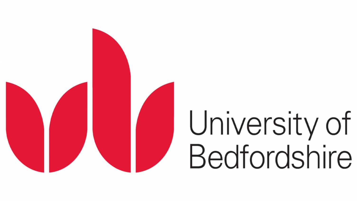 Thumbnail for The University of Bedfordshire | NanoStencil Project 
