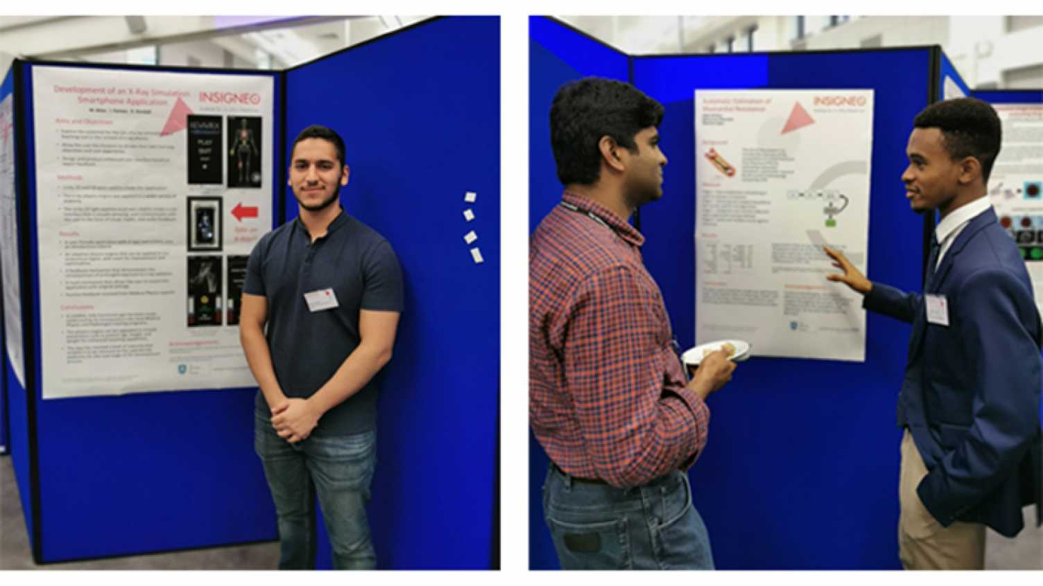 Thumbnail for Insigneo Summer Research Programme Posters 2020 | Insigneo Institute 