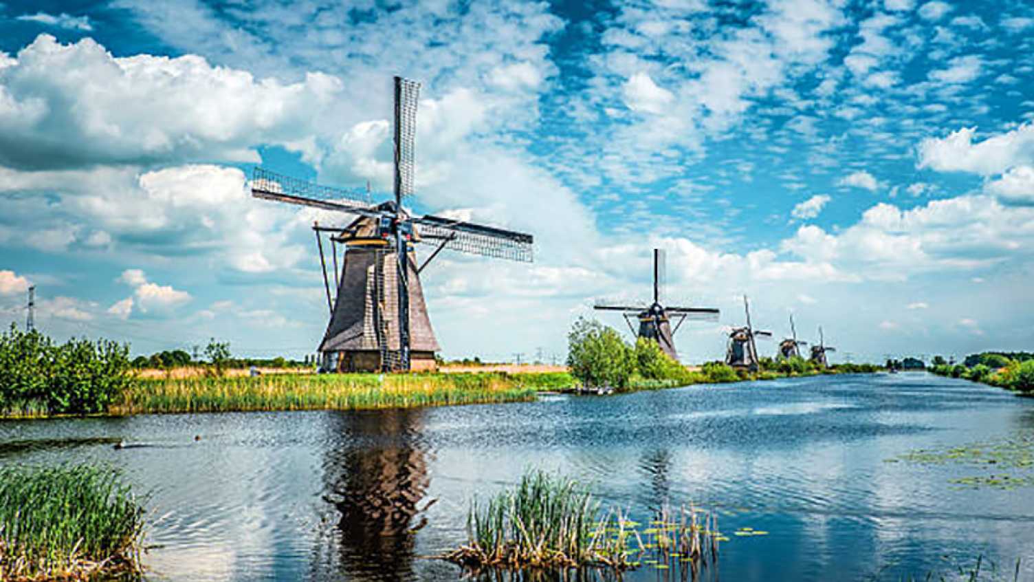Thumbnail for Dutch | Languages, Arts and Societies 