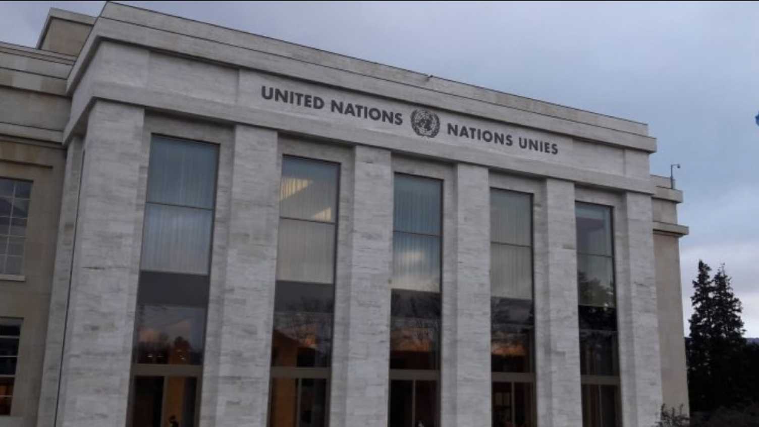 Thumbnail for SIID Expert advises UN on Technology and Innovation Report 2021 | GSD 