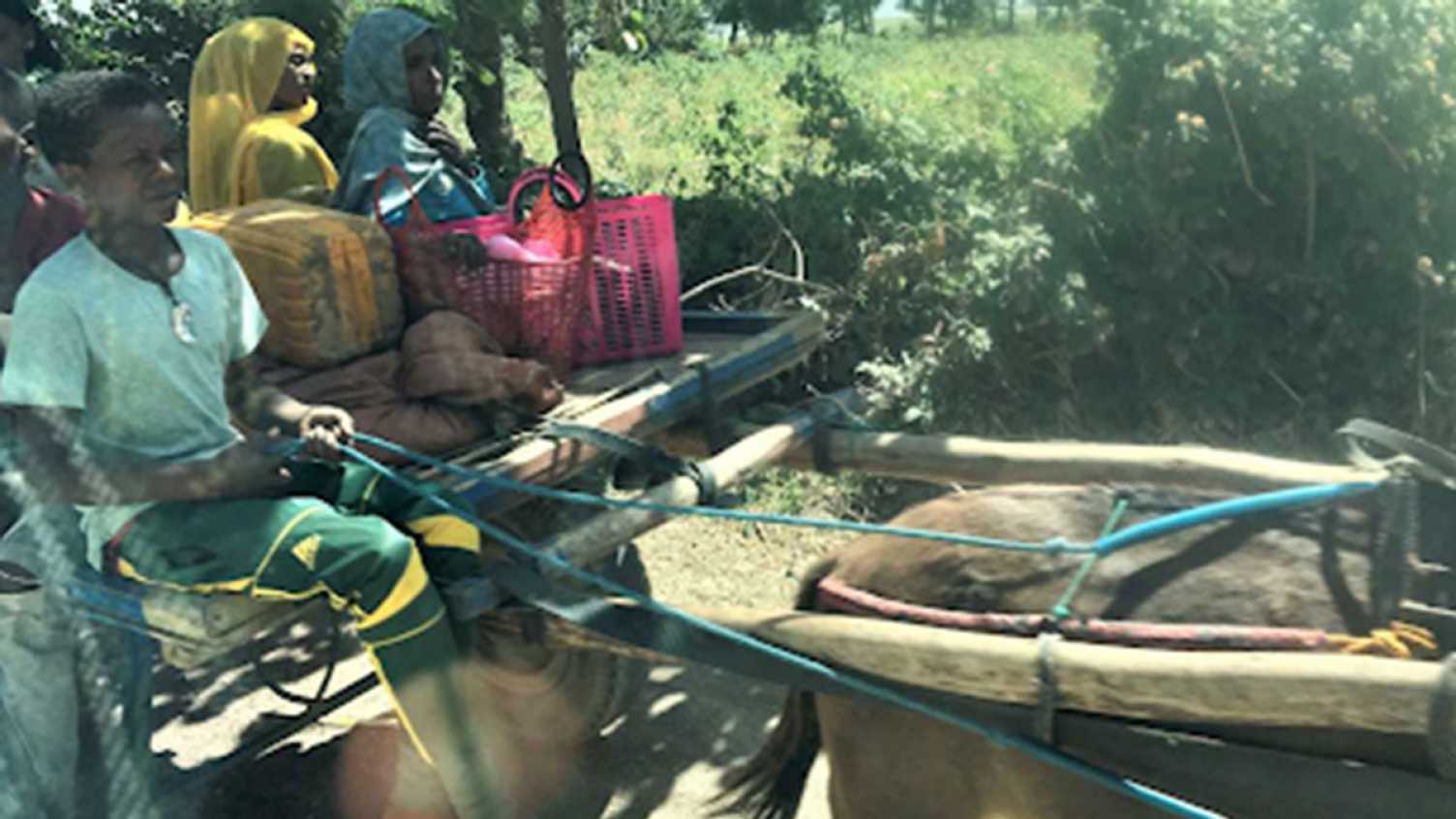 Thumbnail for Migration, Urbanization and Conflict in Africa | GSD 