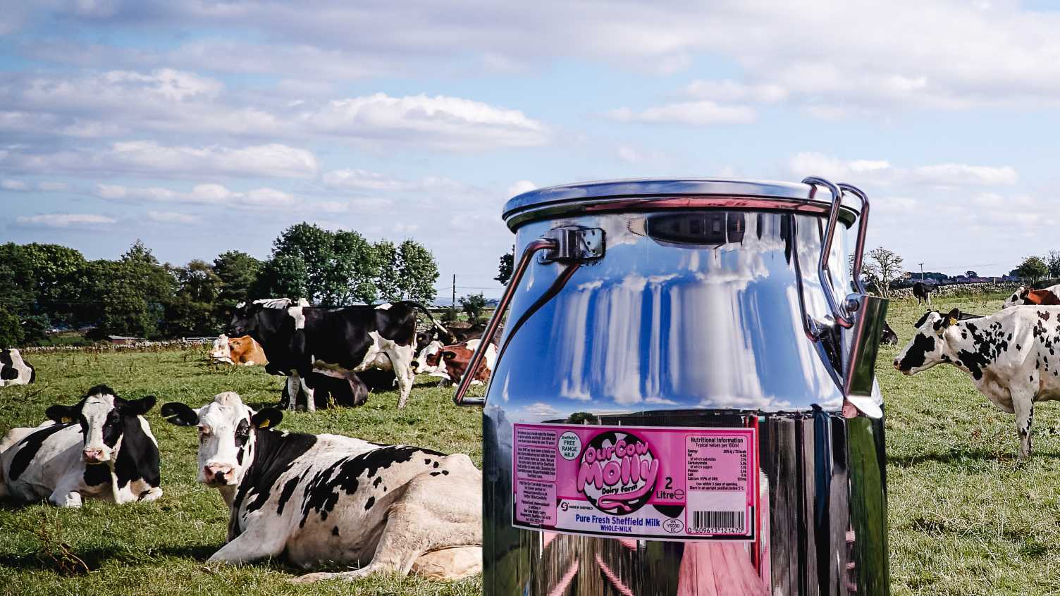 Thumbnail for Milk churns help University cafes reduce plastic waste by over 87,000 bottles a …