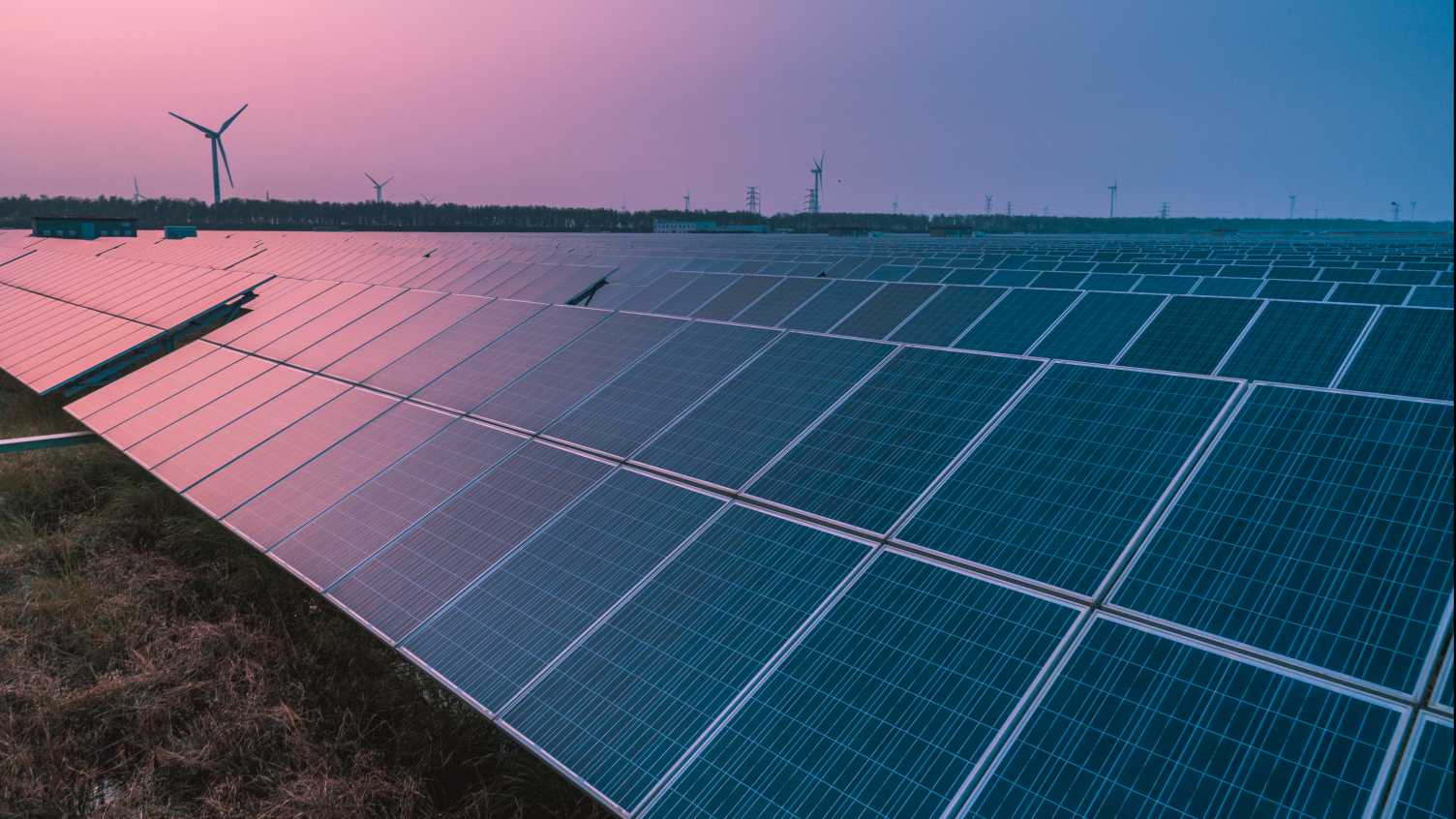 Thumbnail for University of Sheffield switches to renewable electricity | News 