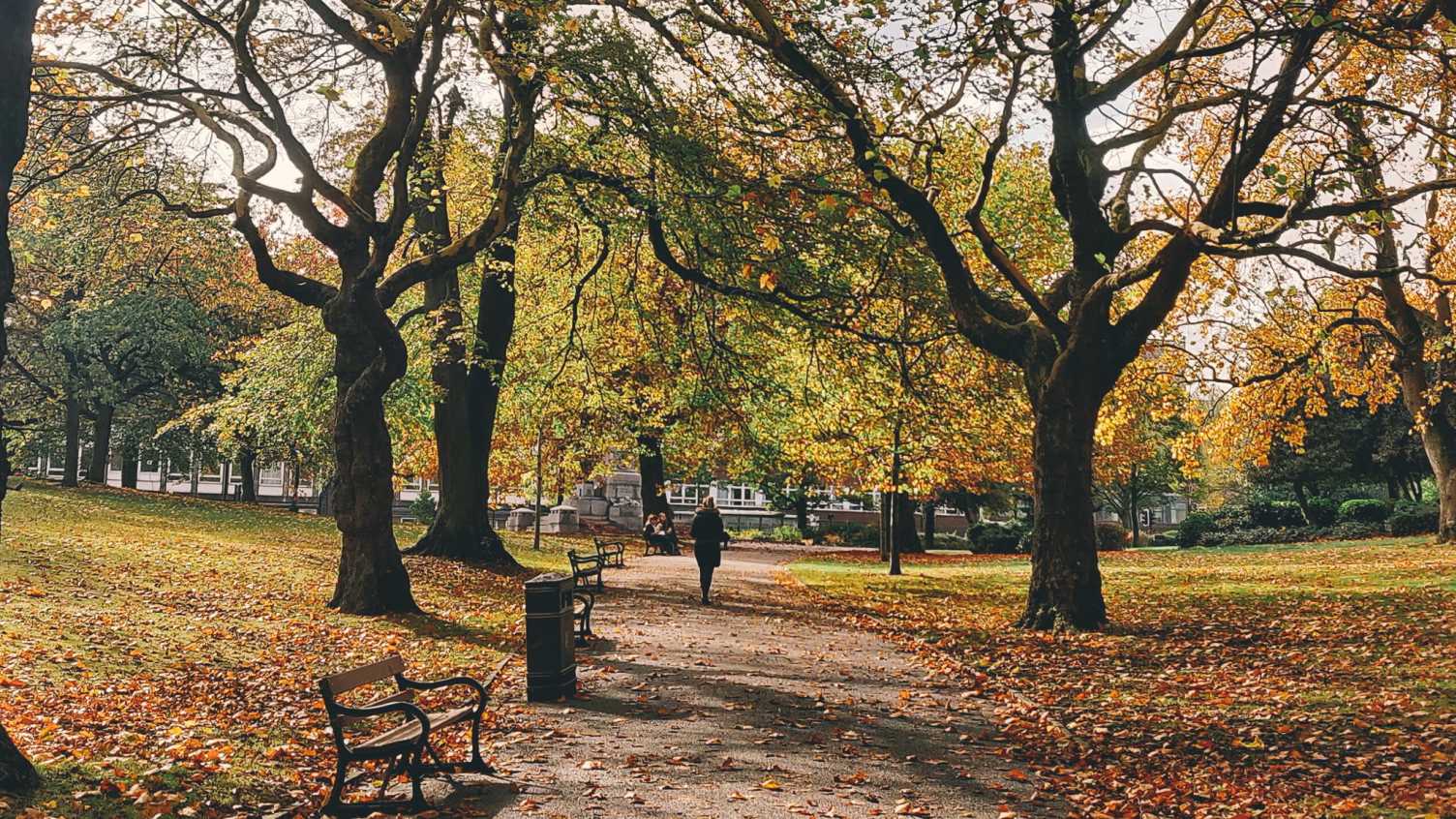 Thumbnail for Leaves, Who and poetry too | English 