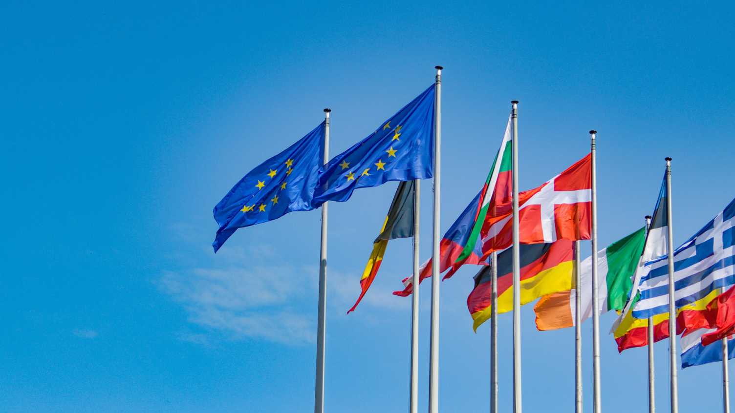 Thumbnail for MIGREC project successfully kicks off | Migration Research Group 