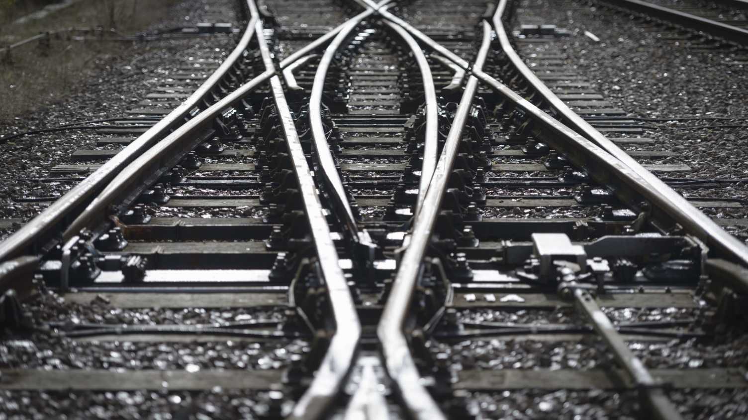 Thumbnail for Hidden cost of transport infrastructure revealed by new study | News 