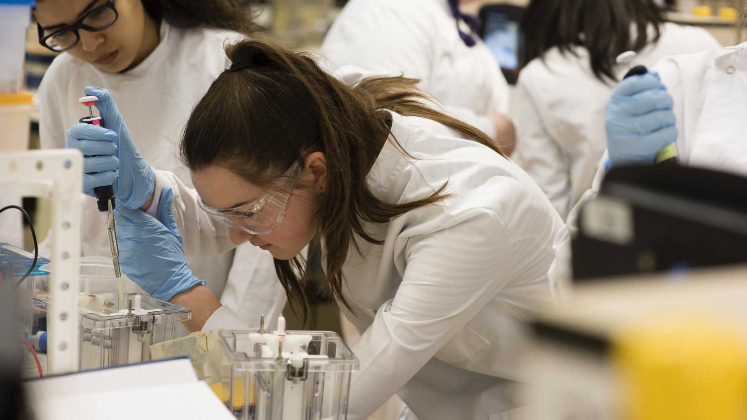 Thumbnail for Biological Sciences: Addressing Global Challenges While Building a Successful Ca…
