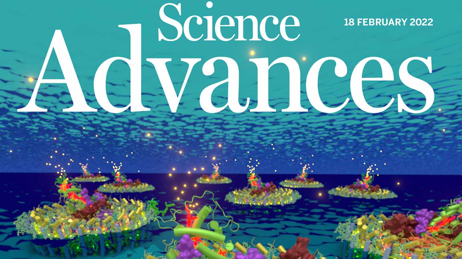 Thumbnail for Scientists show how an enigmatic bacterium from the Gobi desert harvests solar e…