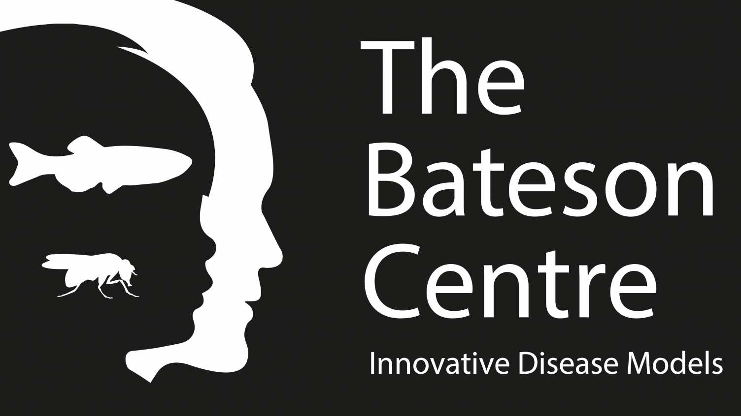 Thumbnail for Bateson Symposium – 31st March 2023 | Bateson 