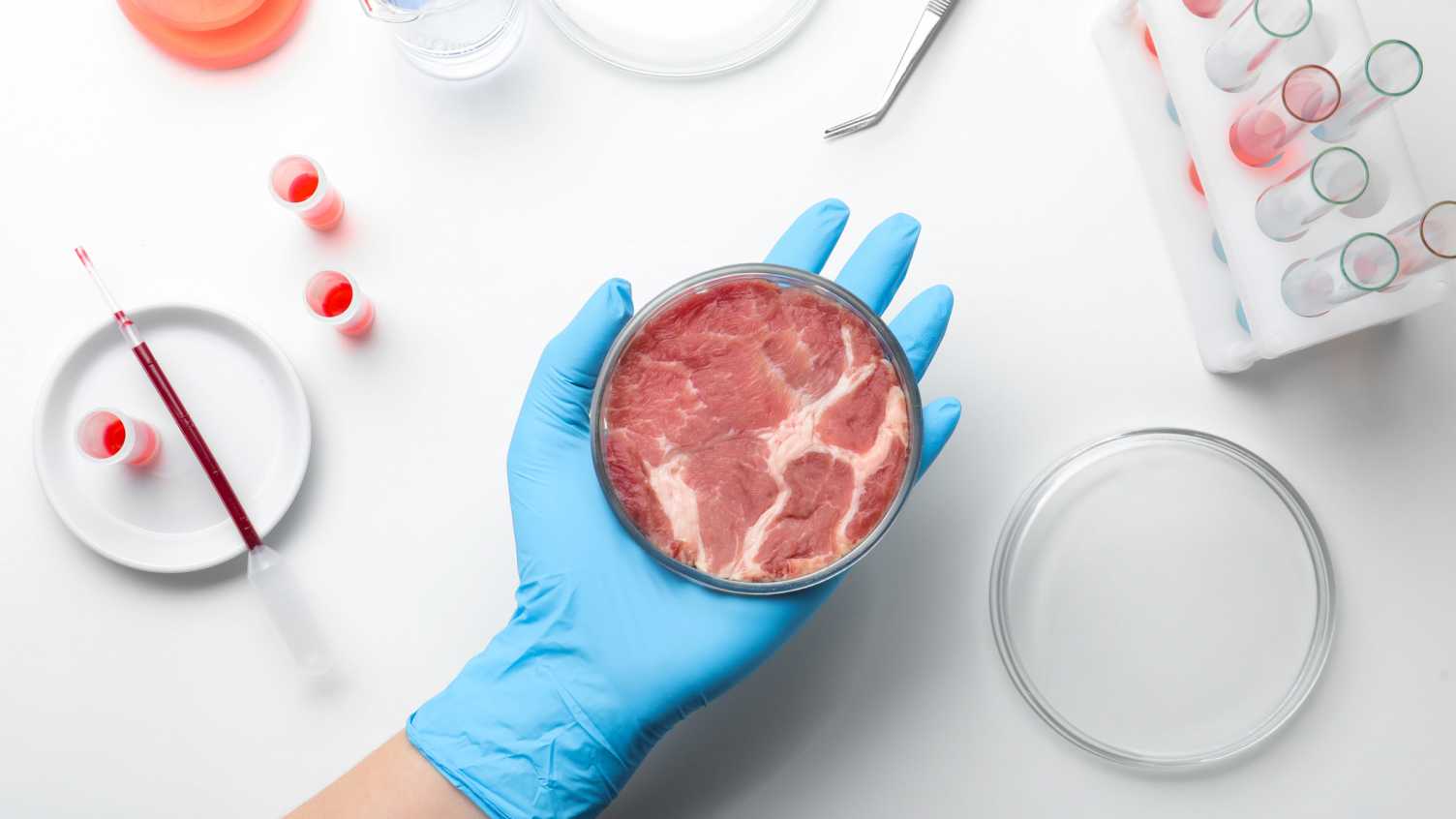 Thumbnail for Cultured meat - a threat or an opportunity for UK farmers? | Institute for Susta…