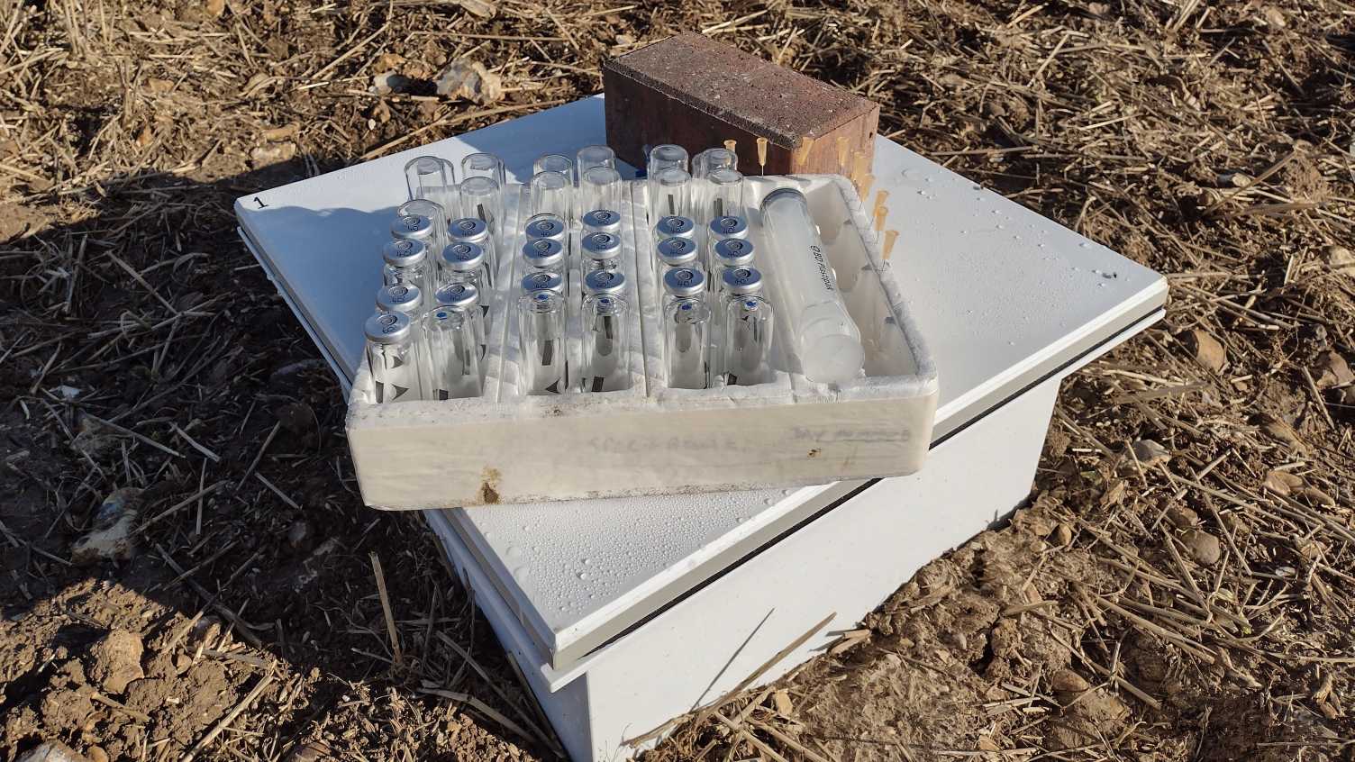 Thumbnail for Measuring weathering rates, CO2 removal and storage | UK Enhanced Weathering 