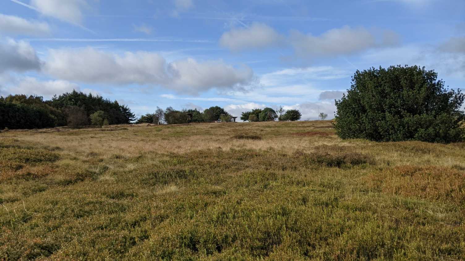 Thumbnail for Bradfield Environment Centre | Bradfield Environment Centre 
