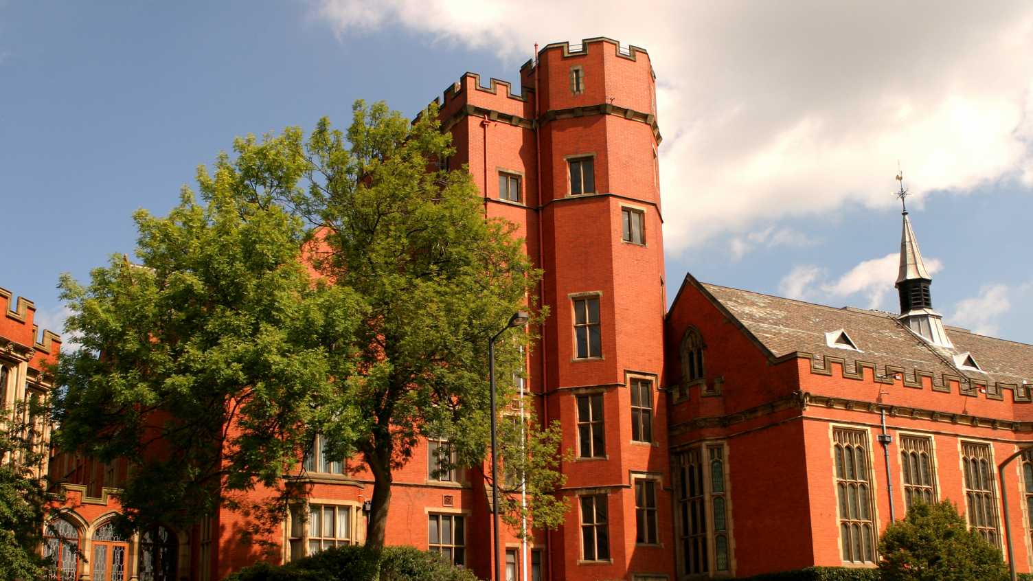Thumbnail for Firth Court ash tree | EFM 