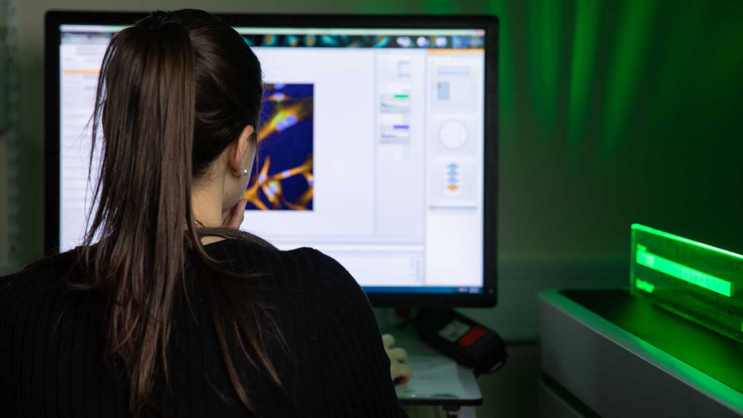 Thumbnail for Neuroscience postgraduate courses | Neuroscience Institute 