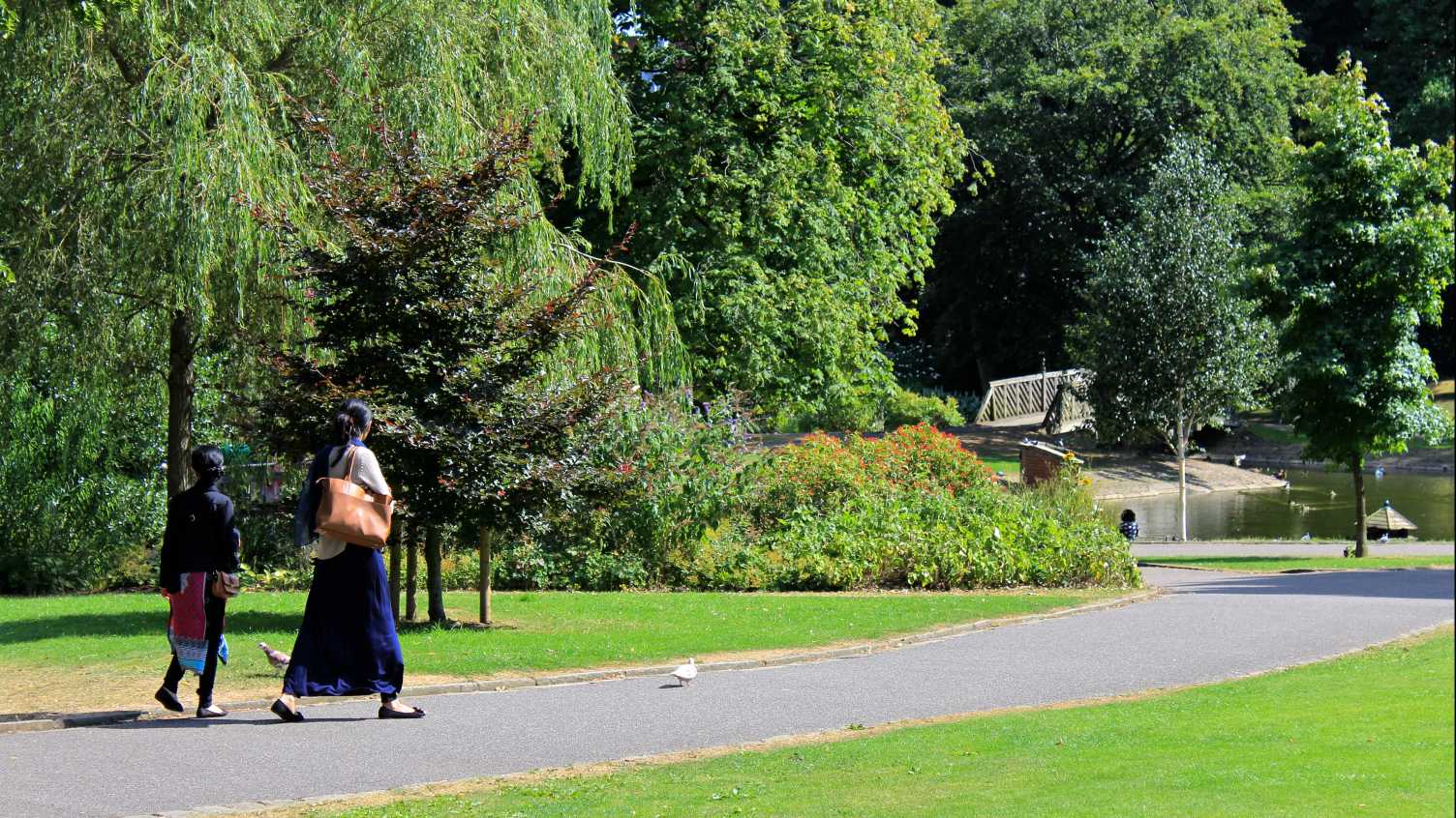 Thumbnail for Healthy people, healthy places | Healthy Lifespan Institute 