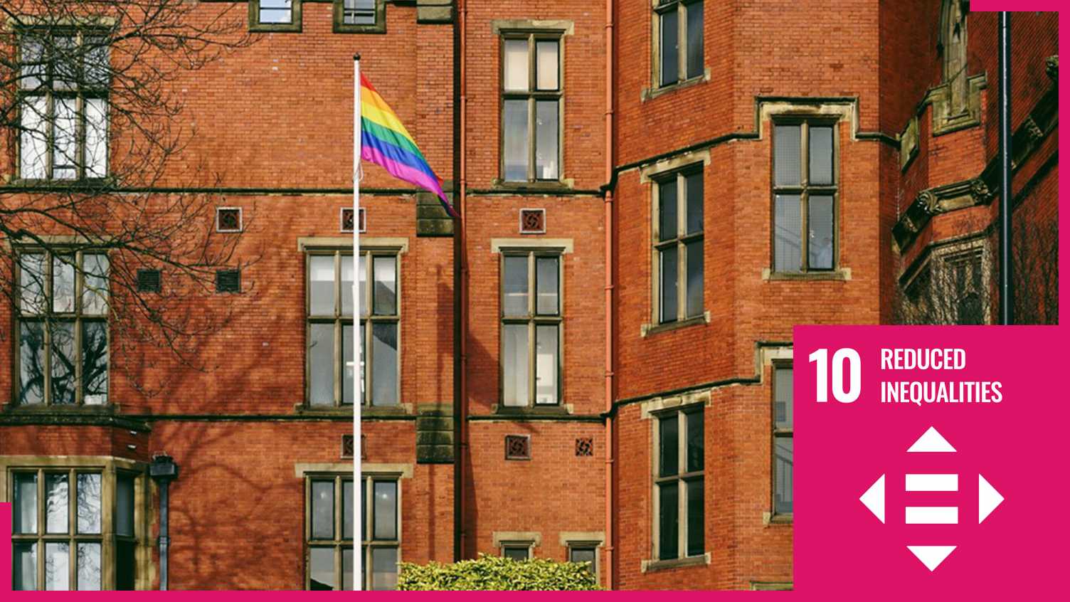 Thumbnail for SDG10: Reduced Inequalities | Sustainability 