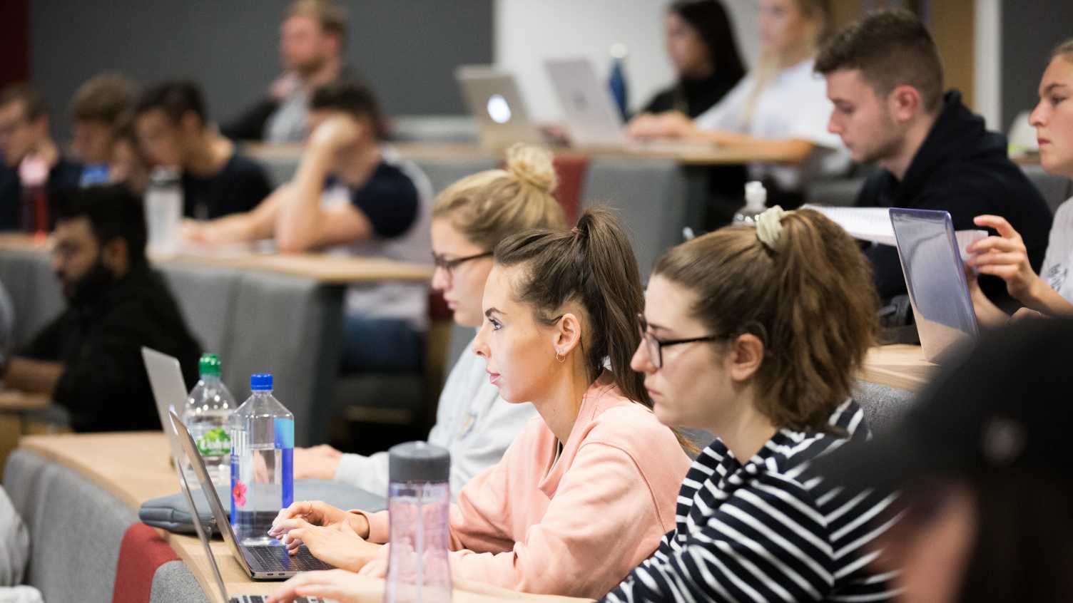 Thumbnail for Management MSc | 2025 | Postgraduate