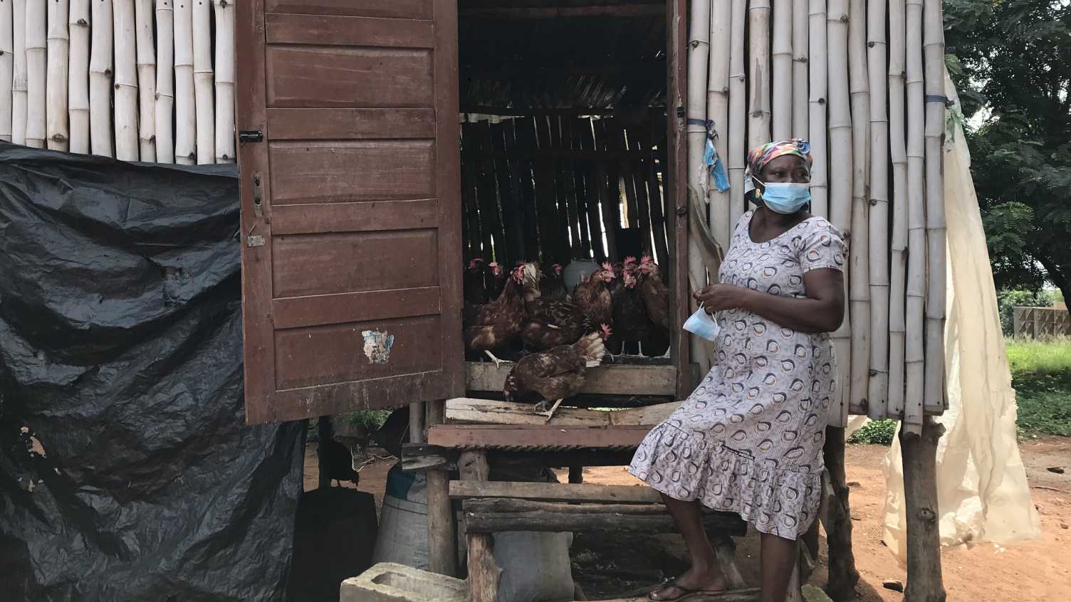 Thumbnail for Women's Agripreneurship Sustainability and Scale-Up project in New Somanya, East…