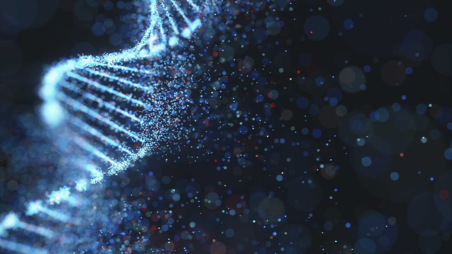 Thumbnail for Breaks in what was historically thought to be ‘junk’ DNA give insight into n…
