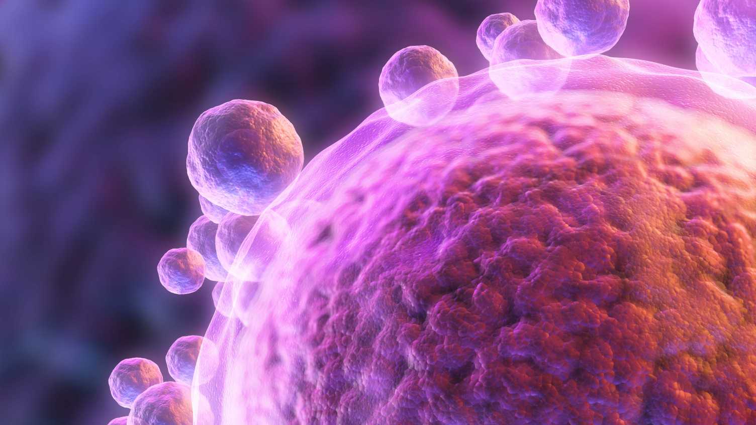Thumbnail for Scientists discover new protein which helps sperm fuse with an egg and could imp…