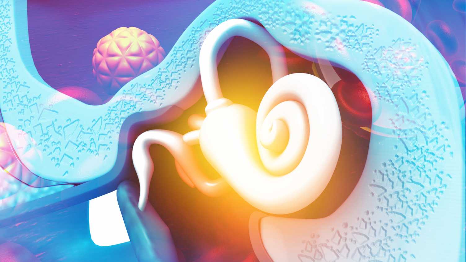 Thumbnail for Unlocking the human inner ear for new therapies to improve hearing loss and deaf…