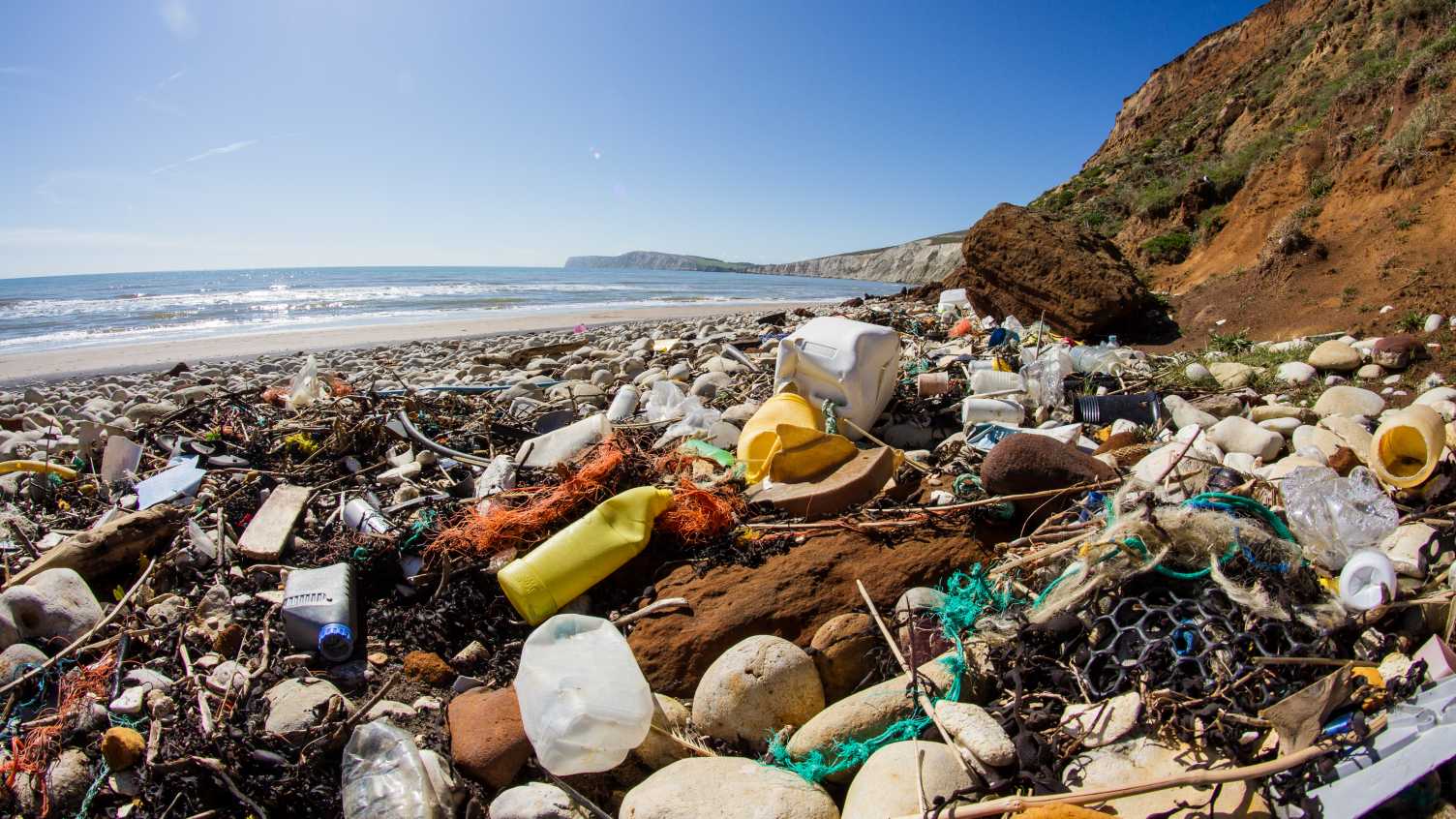 Thumbnail for MPs and Sheffield researchers call for ban on all plastic waste exports | News 