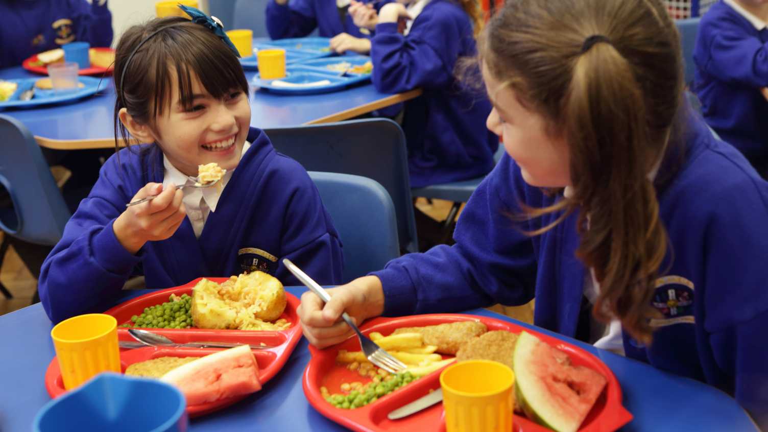 Thumbnail for School Meals project selected as finalist in Children's Food Awards | Education 