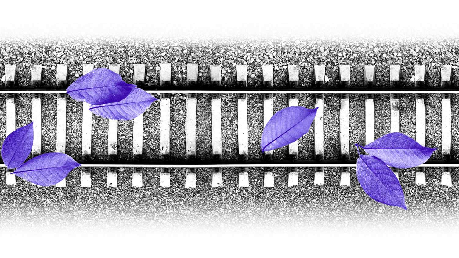Thumbnail for A chilling way to reduce train delays | Research 