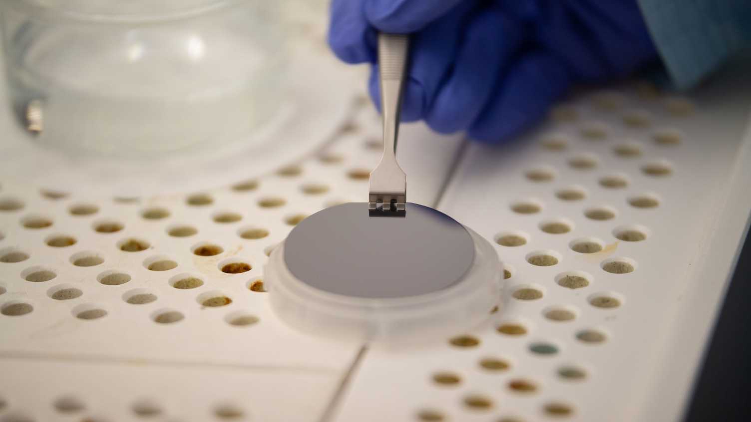 Thumbnail for University of Sheffield start-up secures £4m investment to bring ‘world first…