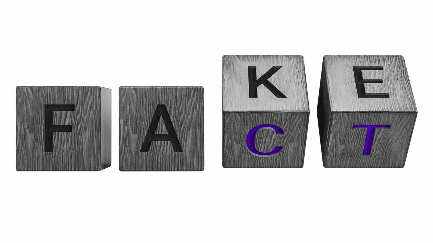 Thumbnail for Fact or fiction: how a world of misinformation can be challenged through philoso…