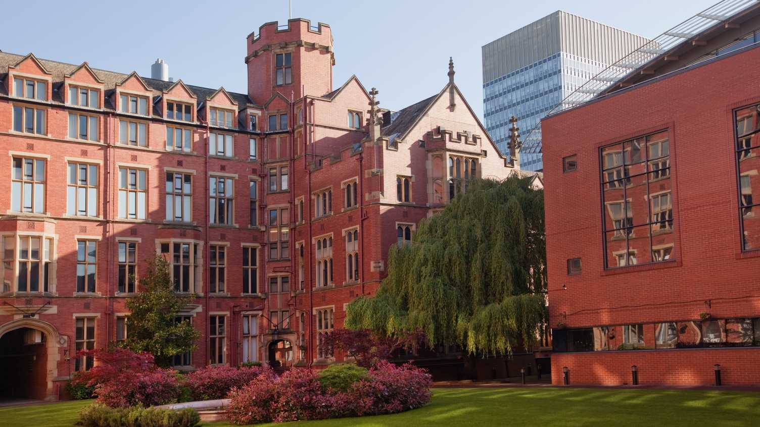Thumbnail for Medical education in Sheffield | Medicine and Population Health 