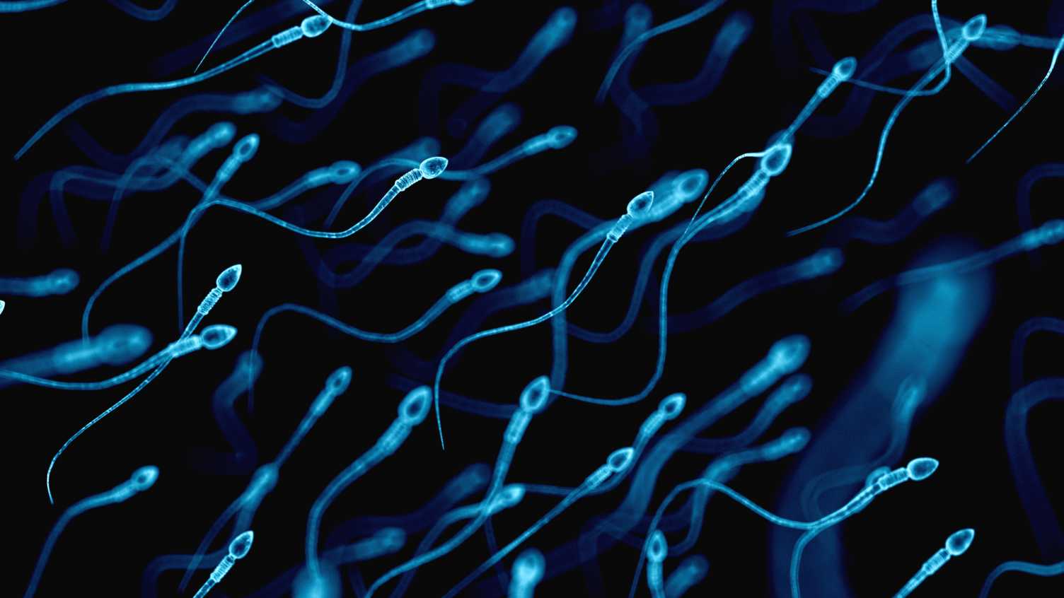 Thumbnail for Less than four in 100 men accepted to be sperm donors | News 