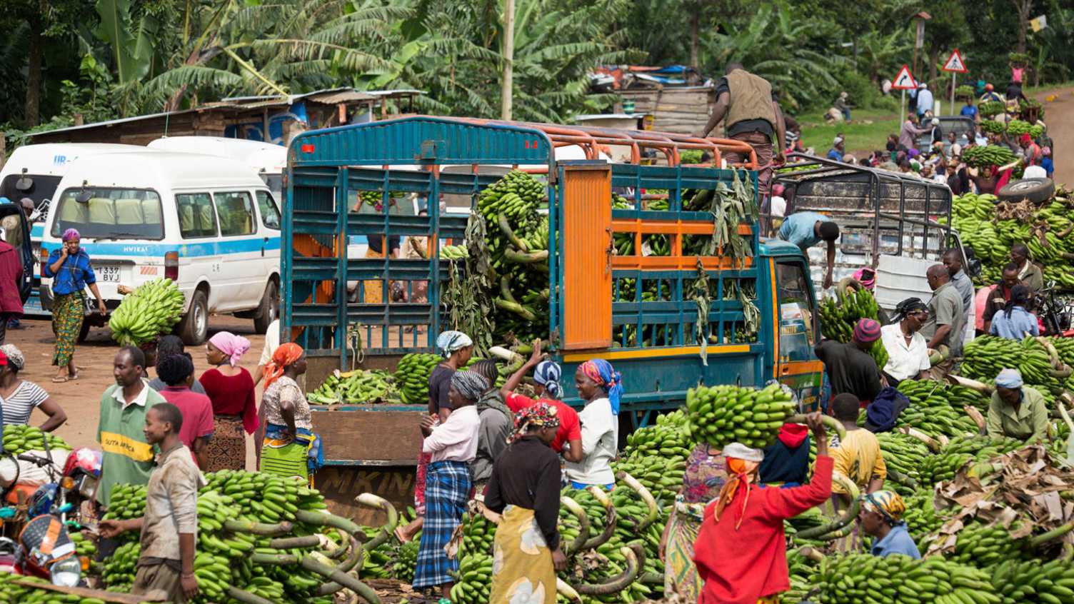 Thumbnail for Rufina's Tanzania Cookbook | Faculty of Social Sciences 
