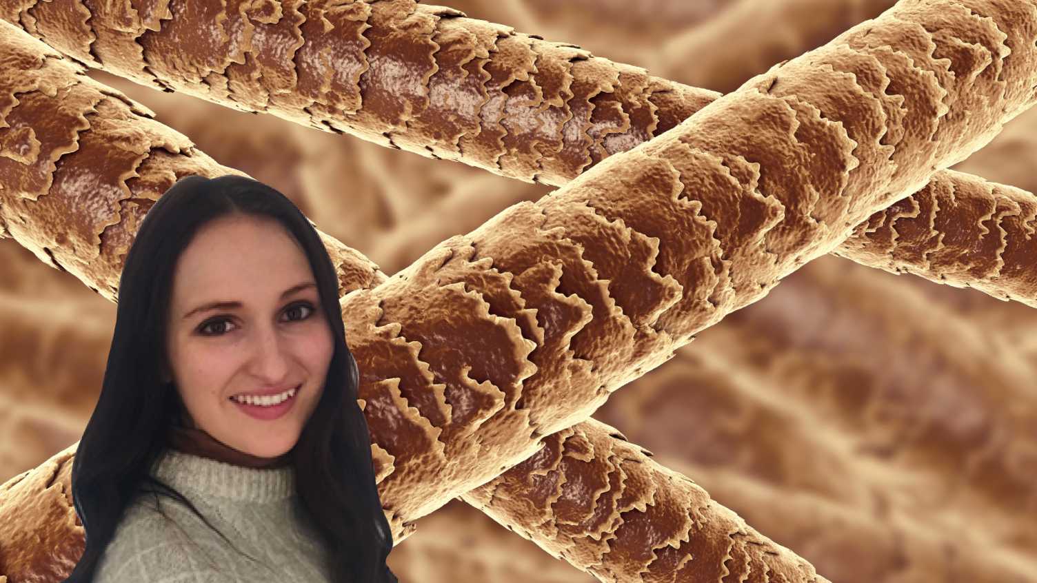 Thumbnail for Investigating the Nanomechanical Properties of the Surface Layers of Hair Fibres…